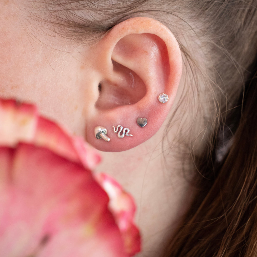 Titanium Tiny Heart Studs