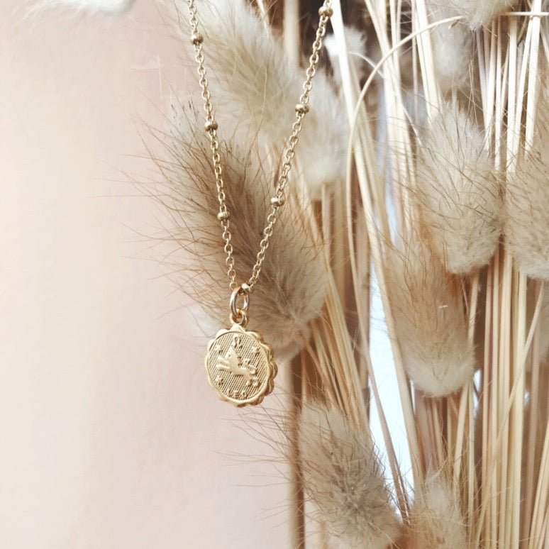 Zodiac Coin Necklace